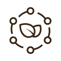 Bogat în antioxidanți naturali